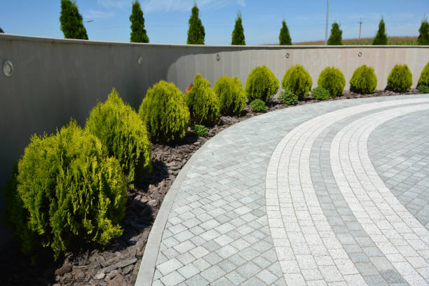 Best Residential Driveway Paver Services  in Albertville, MN