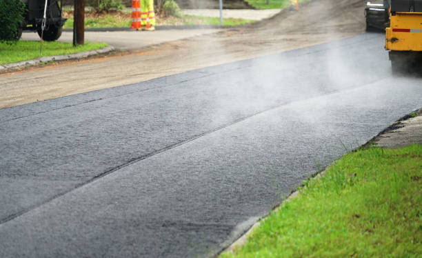Best Local Driveway Pavers  in Albertville, MN